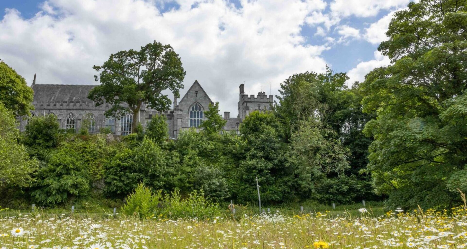 University College Cork (UCC) rose 26 places, ranking at 220 for 2027, compared to 246 in 2026. File picture: Max Bell