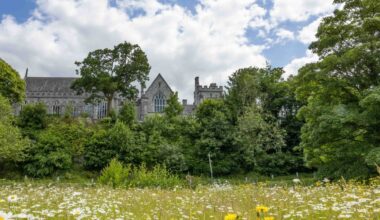 University College Cork (UCC) rose 26 places, ranking at 220 for 2027, compared to 246 in 2026. File picture: Max Bell