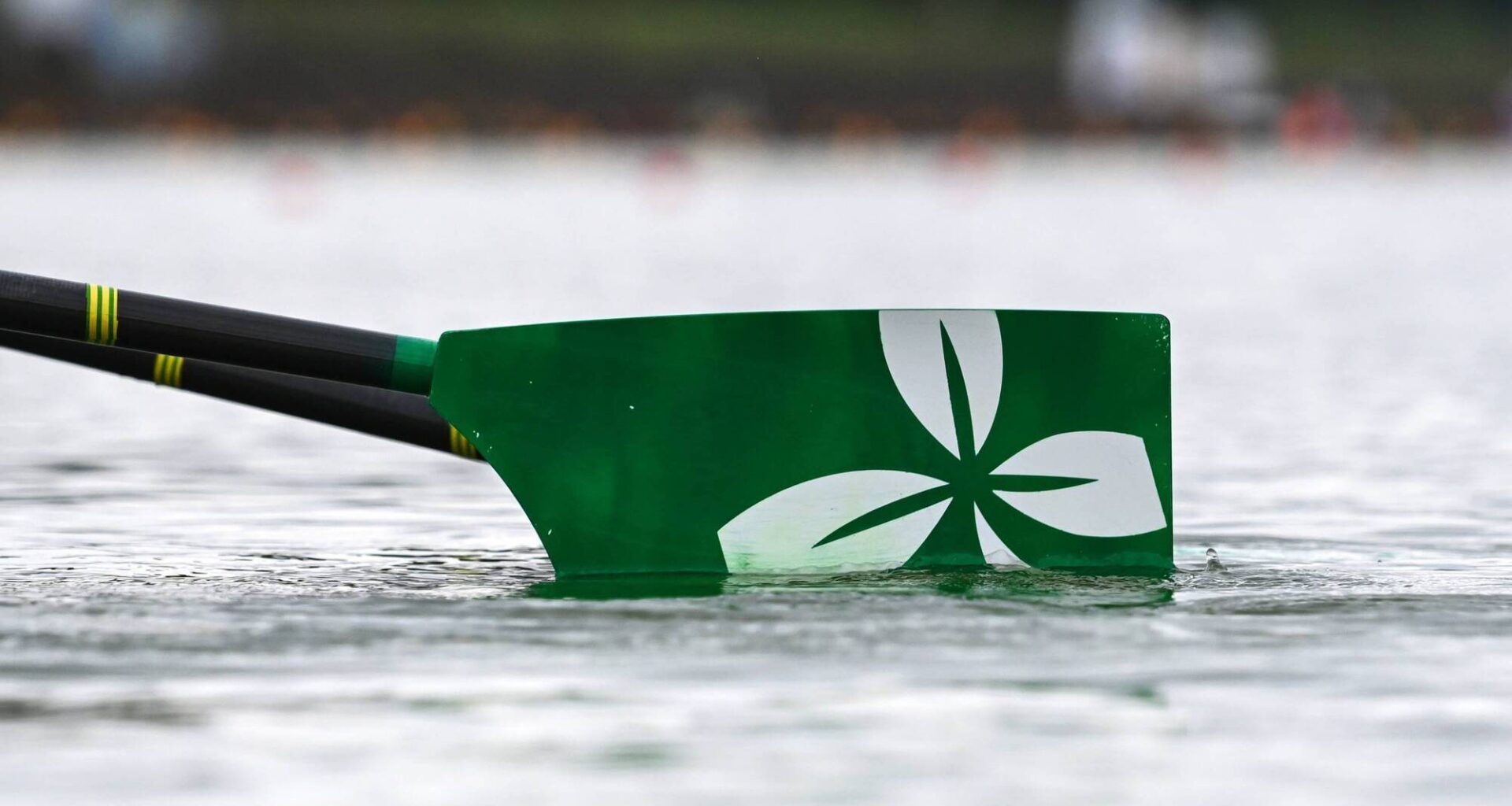 Minister Patrick O'Donovan said Amanda Bennett is "ideally positioned" to carry out the review. Pic: ©INPHO/Detlev Seyb