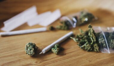Defendant pleaded guilty to possession of the drug for sale or supply.