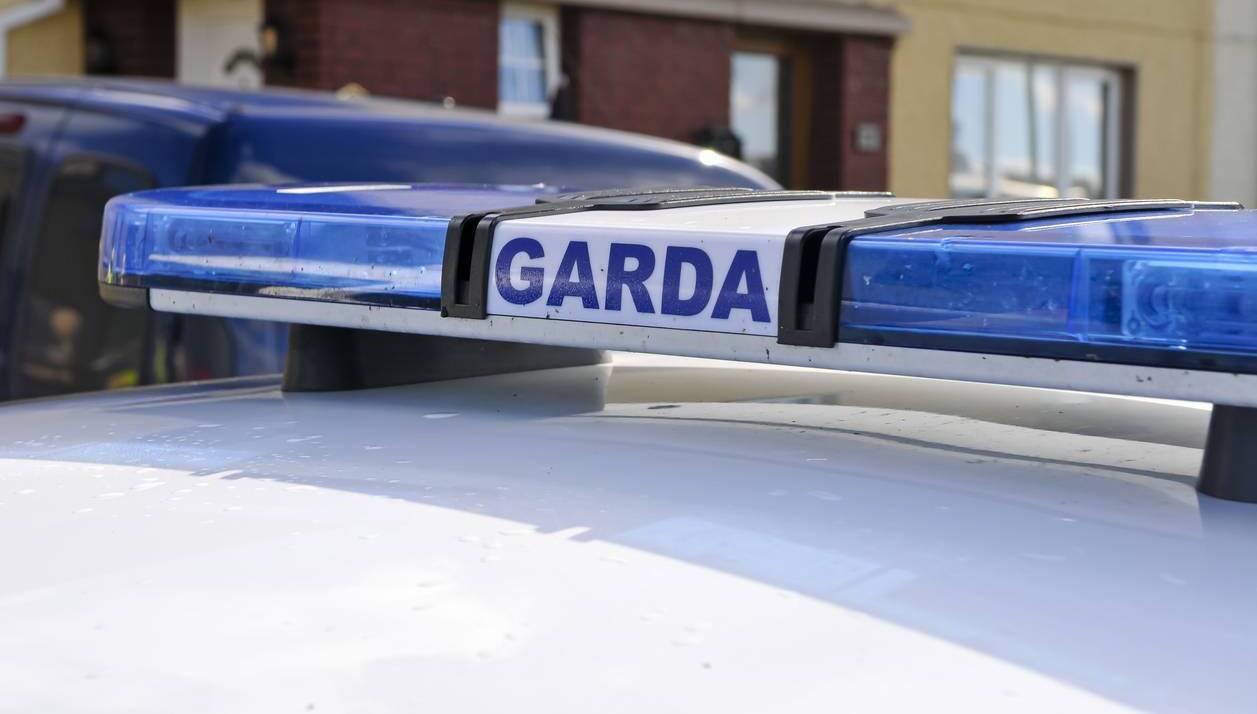 Two men arrested after garda injured and patrol car rammed at Cork industrial estate