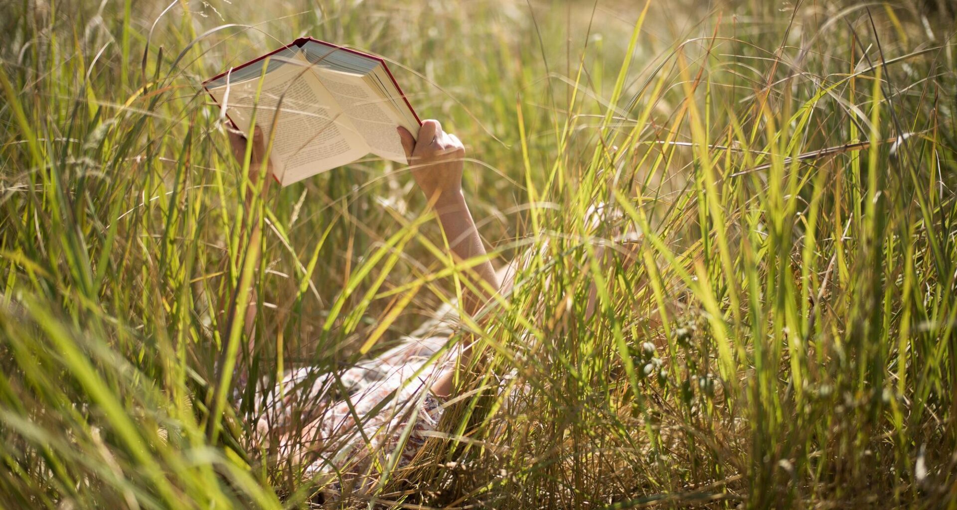 9 books to add to your summer reading list 
