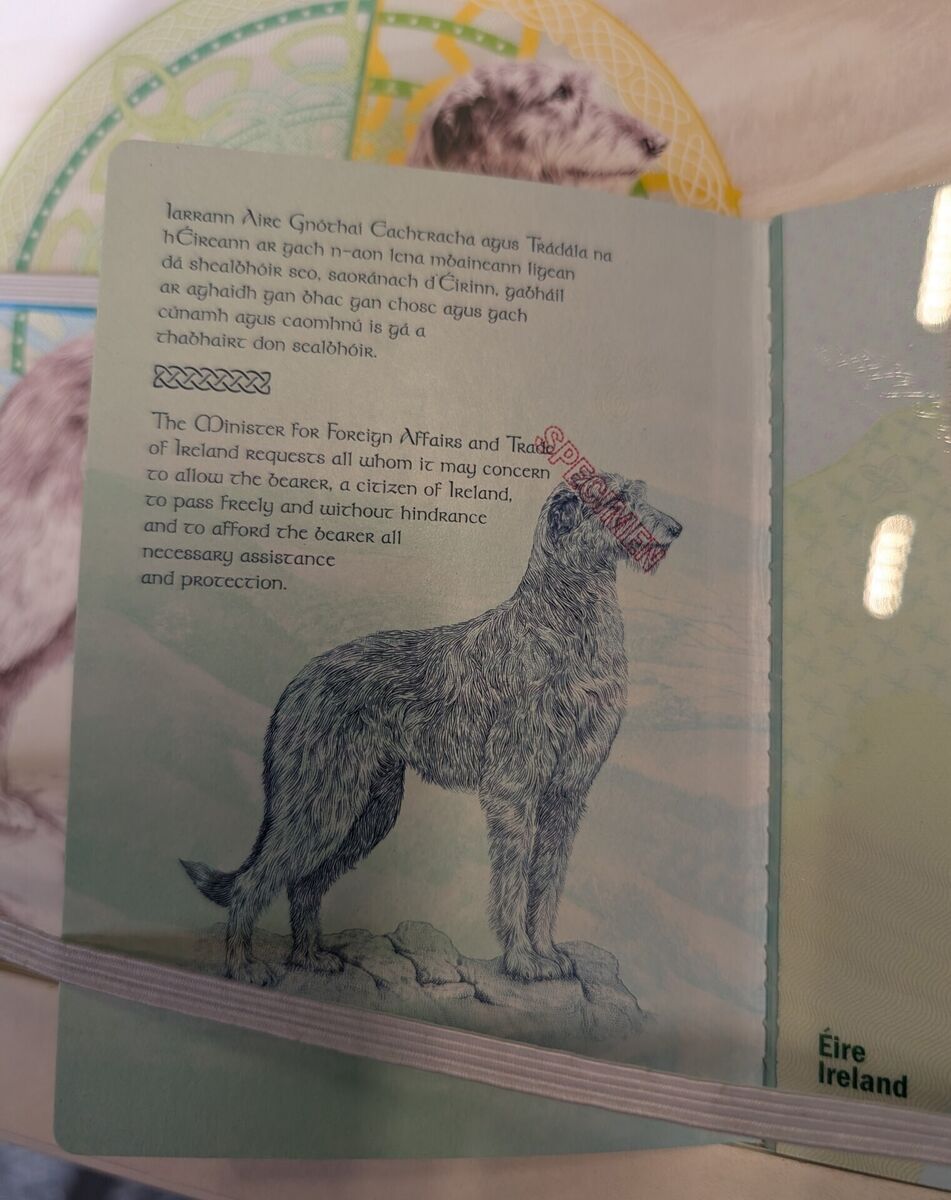 Artwork in the new passport is inspired by Ireland's heritage, history, and culture - with designs chosen by the public as part of a nationwide consultation involving 15,000 people. Picture: Cillian Sherlock/PA