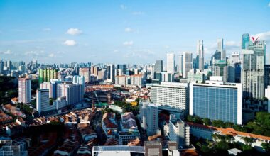 Singapore’s signature public housing is high-rise apartments of up to 50 stories, but many of the structures are softened by green skyways and vertical gardens. File picture