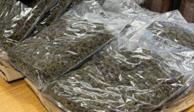 Boxes of cannabis worth €546,000 seized after gardaí search house in The Glen