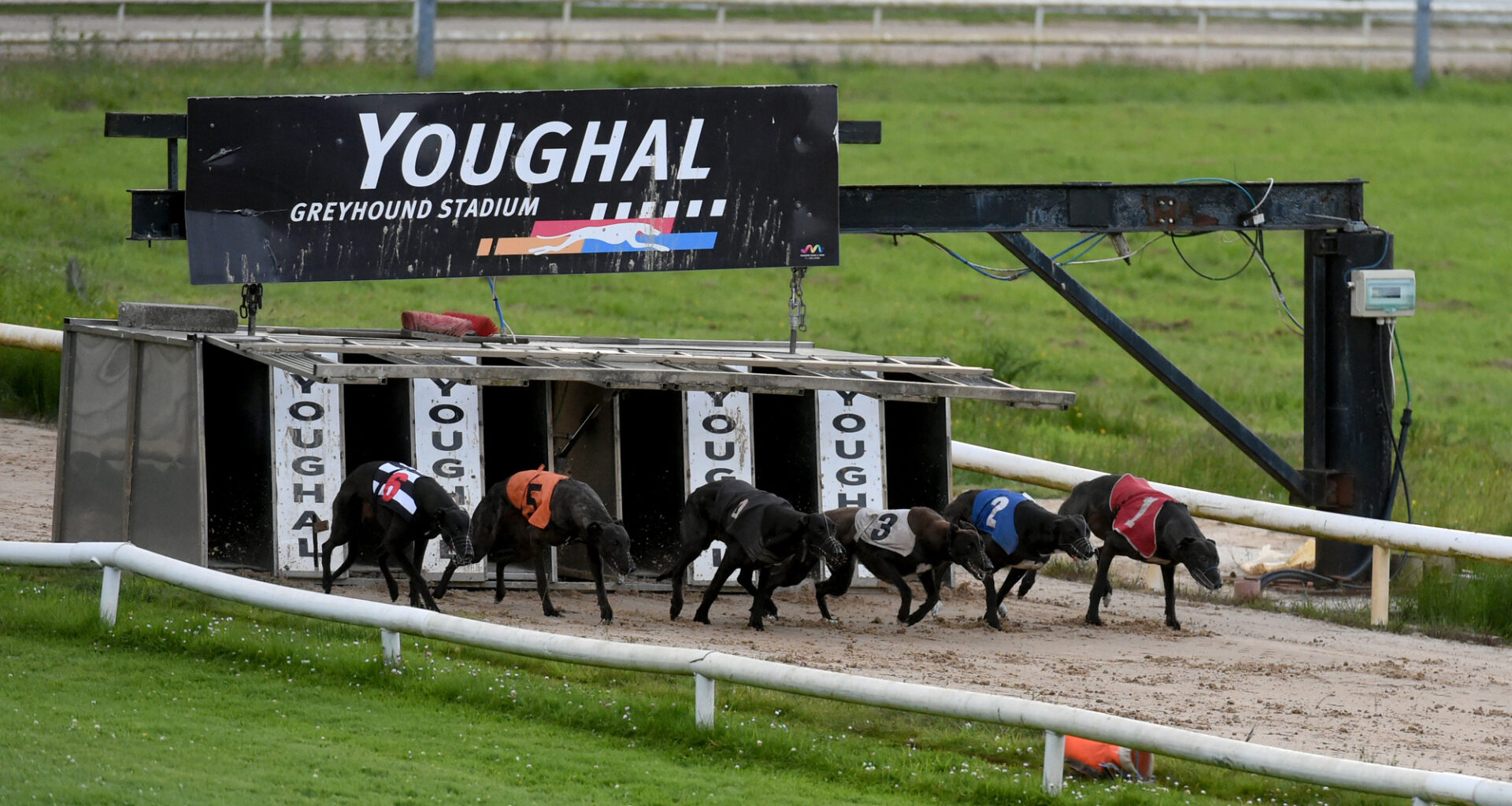 Cork greyhound racing stadium that attracts no paying customers to spend €50,000 on track upgrade