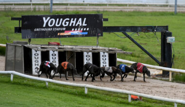 Cork greyhound racing stadium that attracts no paying customers to spend €50,000 on track upgrade
