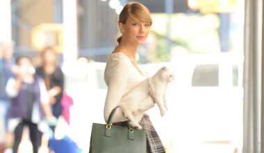 Musicians Who Are Cat Lovers: Taylor Swift, Ed Sheeran & More