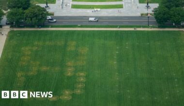 Police investigate '8647' written in grass on US national mall - BBC