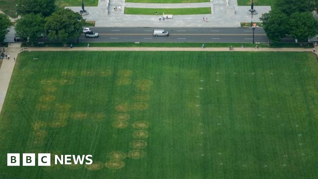 Police investigate '8647' written in grass on US national mall - BBC