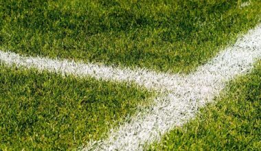 Council Give Update On Proposed New Athy Sports Ground