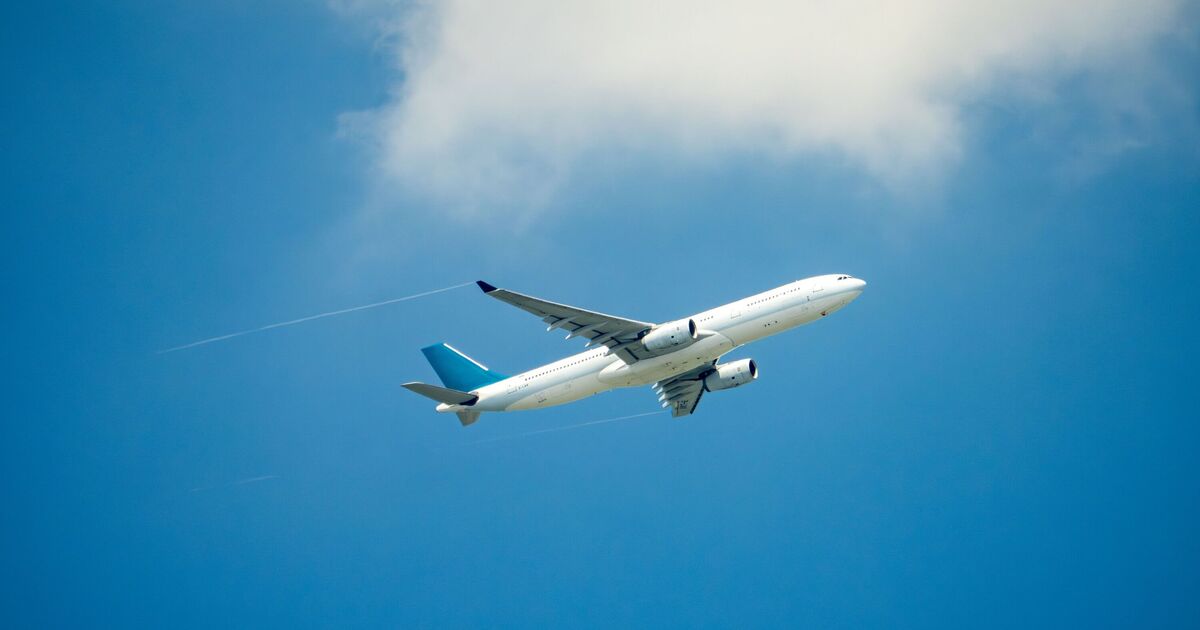 UK airline plunges into administration and cancels all flights | UK | News