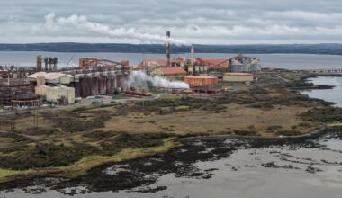 Putin associate still controls Aughinish Alumina parent company, Swedish investigators allege – The Irish Times