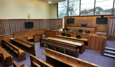 Retailer accused of possessing ‘very realistic’ imitation firearms – The Irish Times