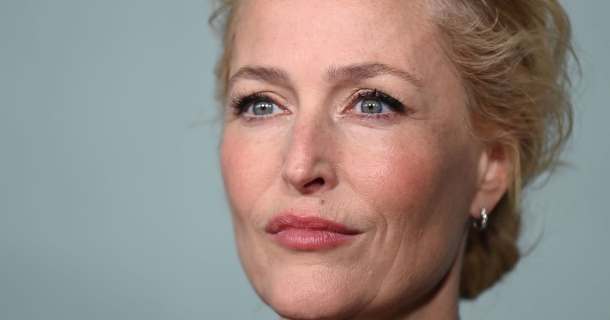 Gillian Anderson may not be disappearing from work but many women in Ireland are – The Irish Times