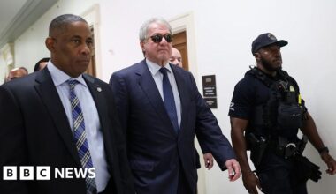 Billionaire Leon Black walks out of Epstein investigation hearing - BBC