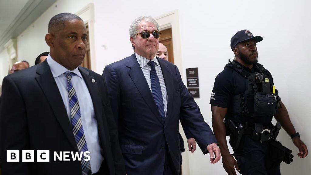 Billionaire Leon Black walks out of Epstein investigation hearing - BBC