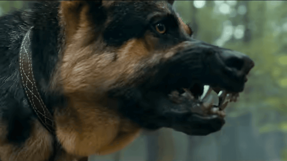 Odin also has silver dentures from a combat injury. (Courtesy: Paramount Pictures)