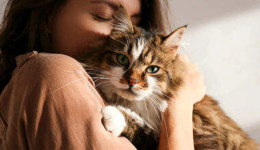 Researchers Discover House Cats Could Advance Cancer Treatment Research