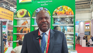 Zimbabwe Minister Counsellor: CISCE is a window to the global market - news.cgtn.com