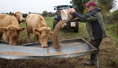 Farming in Ireland. Crisis and Climate: Lived experience of our rural hinterland – The Irish Times