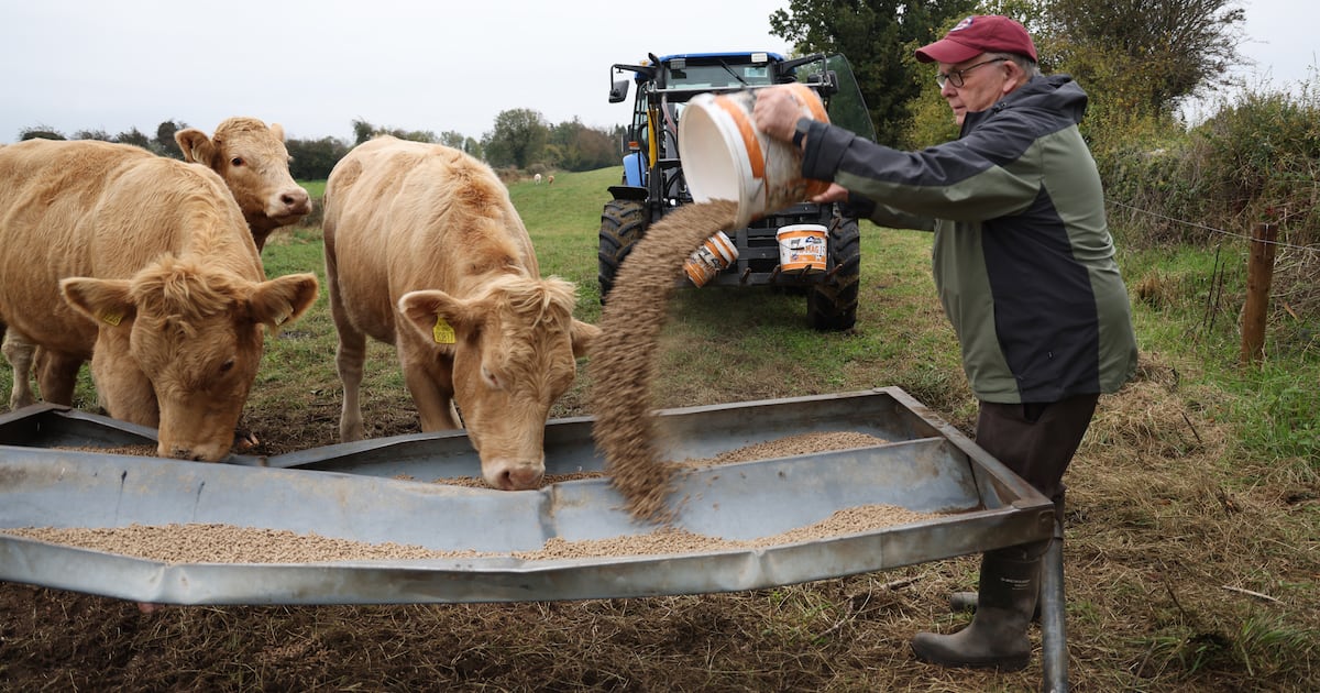 Farming in Ireland. Crisis and Climate: Lived experience of our rural hinterland – The Irish Times