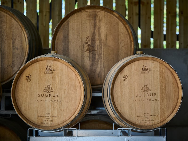 Sugrue South Downs farms five vineyards across east and west Sussex in England. Photograph: Sarah Weal