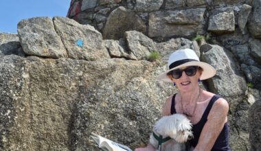 Ireland weather: A summer’s day out at the Forty Foot – The Irish Times