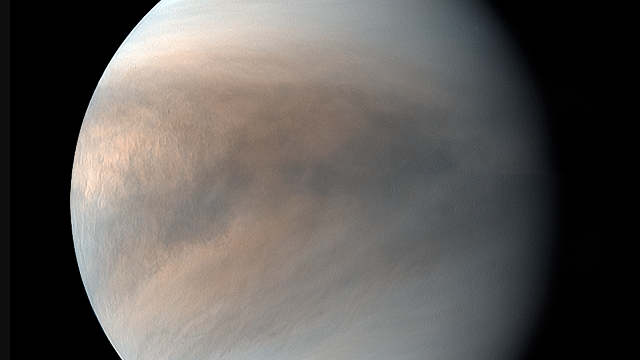 Acidophilic Fungi As Possible Candidates For Living Forms In Venus’ Clouds