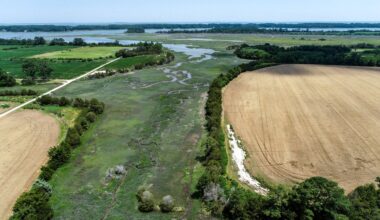 Aerial View of a Tidal Marsh