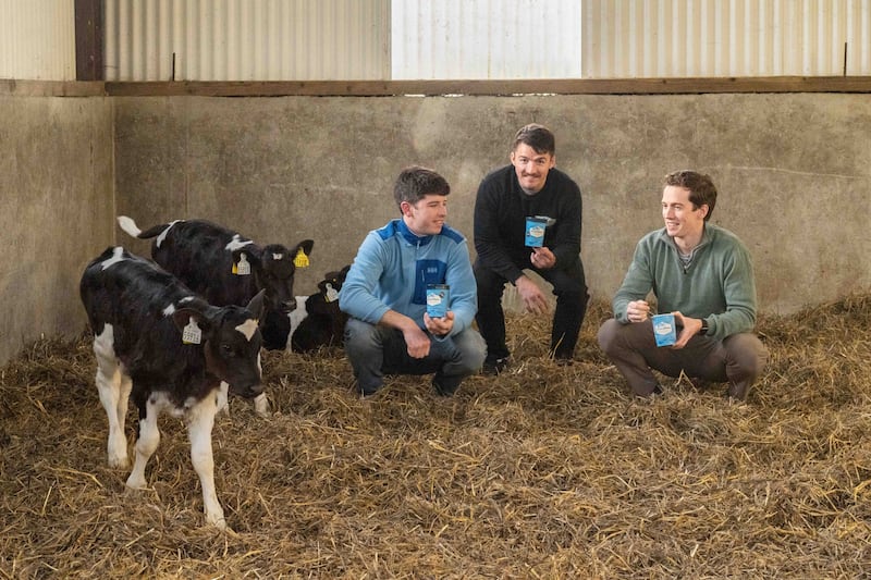 Brothers Ivan, Tom and David Kiersey of Freezin' Friesian, Kilmacthomas. Photograph: Joleen Cronin