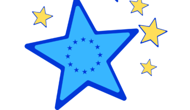 Carlow and Kilkenny Schools Invited to Join European Blue Star Programme