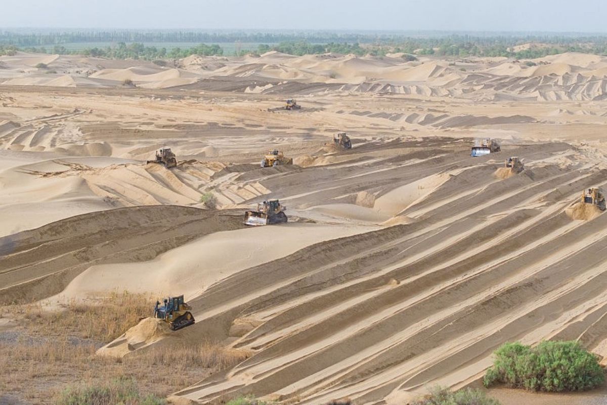 A desert turned into a “carbon sink”