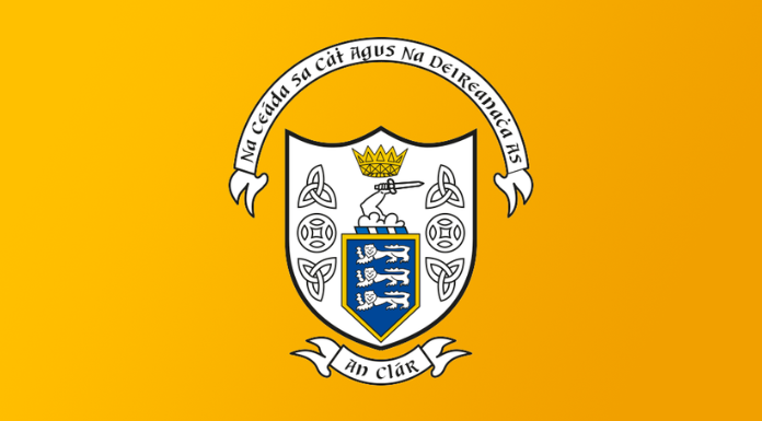 Clare GAA Club Looking To Clear Almost Two Hectares Of Forestry To Double Facilities