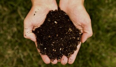More food waste going into general bins than compost waste experts warn
