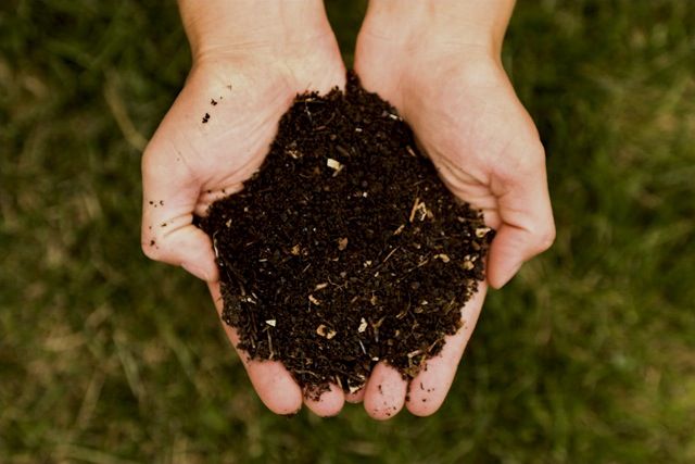 More food waste going into general bins than compost waste experts warn