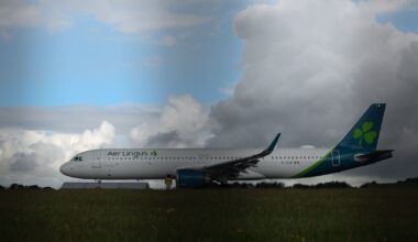 Aer Lingus to consider reinstating demoted pilot to rank as captain – The Irish Times
