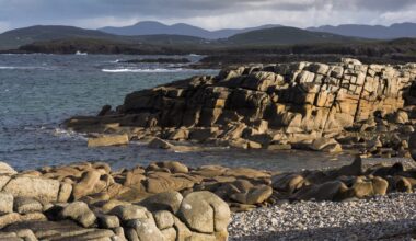 Basking sharks spotted in Donegal Bay - Highland Radio