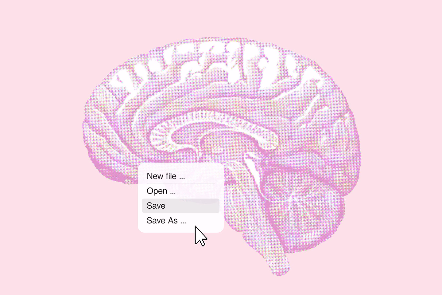 The midlife habits that could make or break your brain health long-term