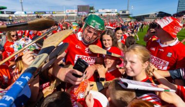 Hurling skies darken with flapping chickens coming home to roost – The Irish Times