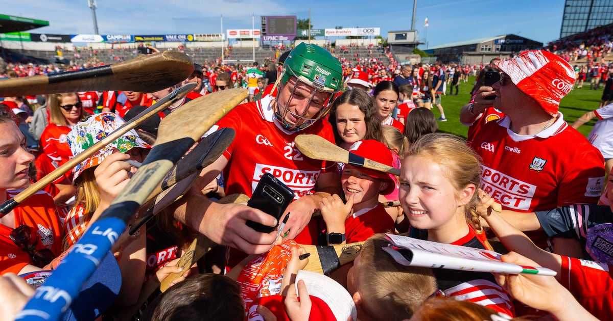Hurling skies darken with flapping chickens coming home to roost – The Irish Times