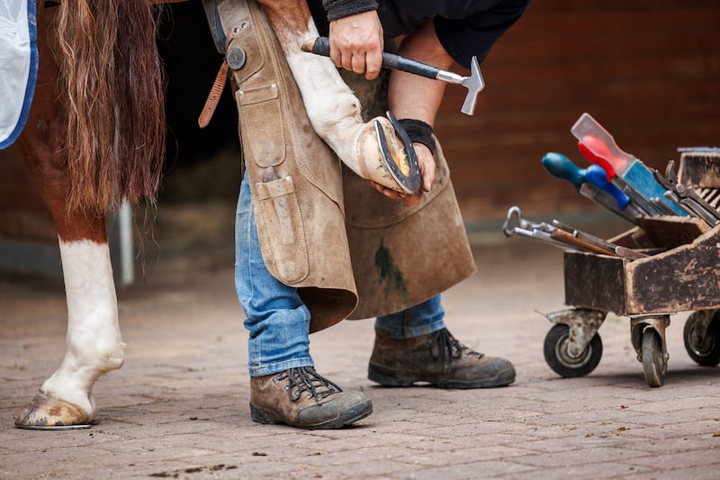 Graduates can progress to an apprenticeship in blacksmithing or an advanced apprenticeship in farriery