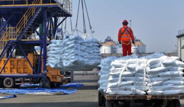 Fertiliser Exports Hit N1.37tn In Q1 2026, Emerging As Nigeria’s Top Non-Oil Foreign Exchange Earner – Arise News