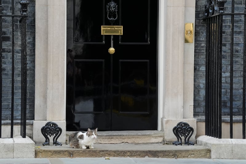 Larry the cat sits on the doorstep of number 10 Downing Street on Monday morning. Photo: Andrew Matthews/PA Wire