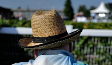 Heatwave declared official on Friday, but temperatures to dip over weekend – The Irish Times