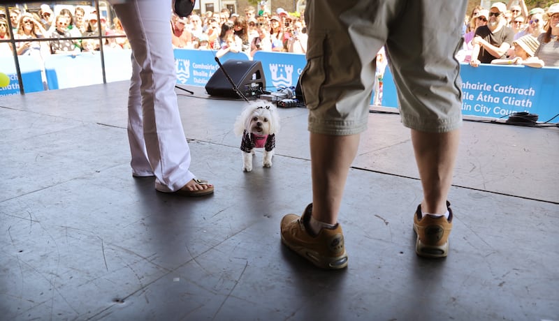 'Coco Chanel' winner of 'Best Dressed Dog' with owner Carol Fallon on stage in Stoneybatter. Photo: Bryan O’Brien / The Irish Times