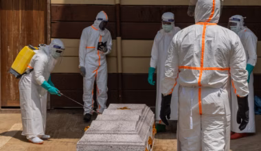 Ebola cases in eastern Congo climb to 782 and deaths reach 181, authorities say