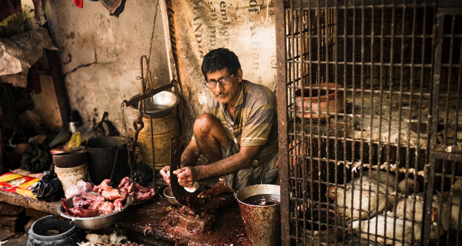 HC_unearthed® Food for Sale_Julia Dunin_Chicken for Sale in Kolkatta_Hi-Res