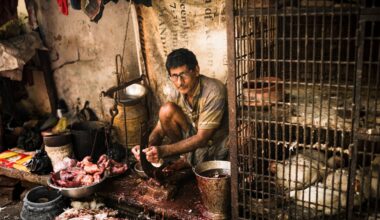 HC_unearthed® Food for Sale_Julia Dunin_Chicken for Sale in Kolkatta_Hi-Res