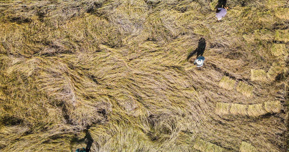 Growth, Democracy, or Climate Action? The New Political Trilemma of Advanced Capitalism – The Irish Times